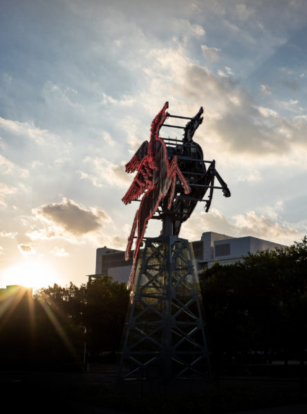 Dallas Pegasus at sunset Pegasus, Dallas, Sunset