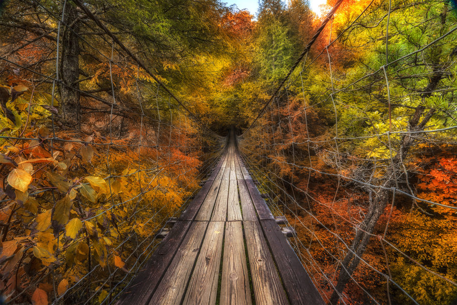 Fall Creek Falls Bridge Tennessee Fall Creek Falls Bridge Tennessee